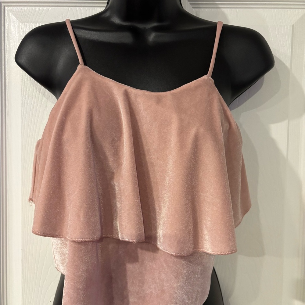 2/$20 Elegant Pink Velvet Women's Top